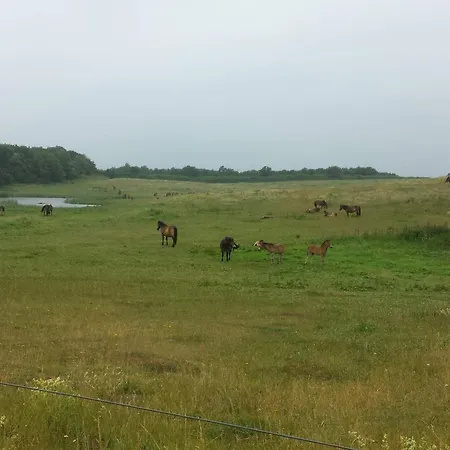 4 Star In Bagenkop